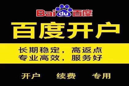 SEM运营推广策略：成功案例解析
